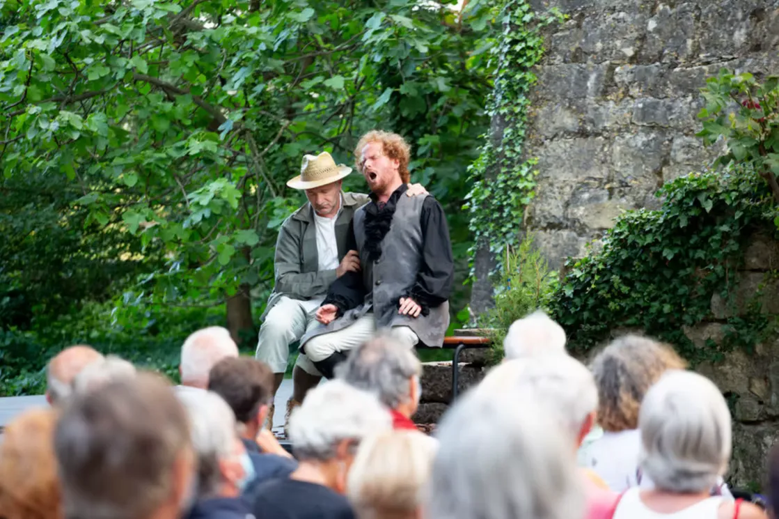 mozart-4